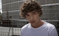 Liam-Payne-liam-payne-31395845-120-73